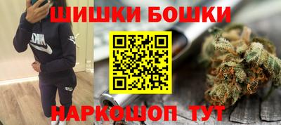 сатива Аргун