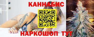 сатива Аргун