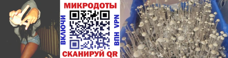 Галлюциногенные грибы ЛСД  MEGA маркетплейс  Апшеронск  купить  цена 