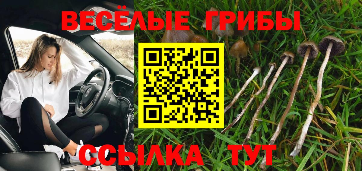 Галлюциногенные грибы мухоморы Апшеронск