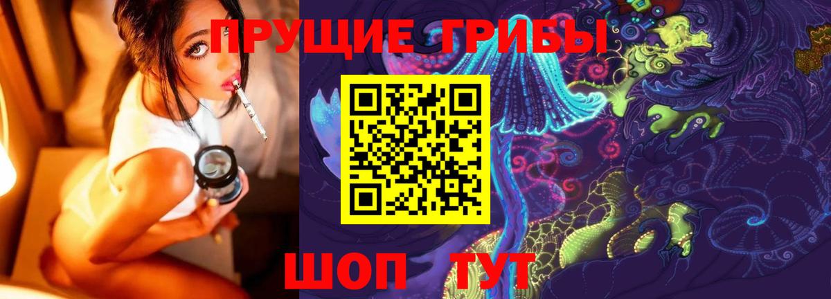 Псилоцибиновые грибы GOLDEN TEACHER  Апшеронск  Галлюциногенные грибы Psilocybe 